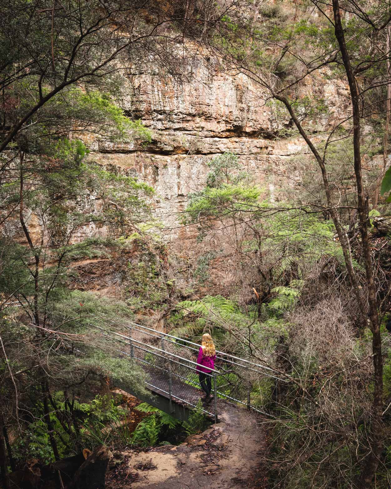 Lithgow Glow Worm Tunnel