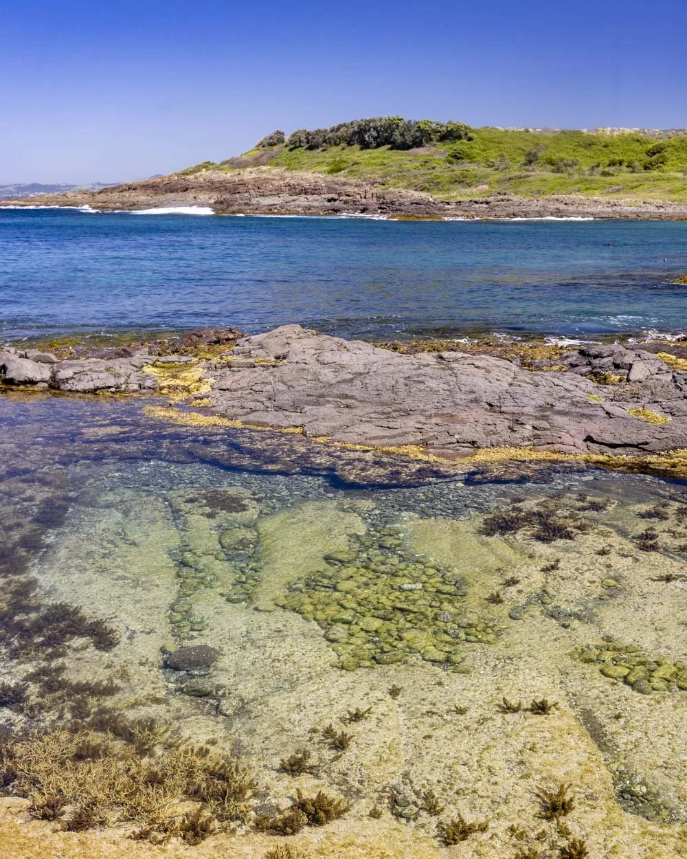 How to find Shellharbour's secret rockpools at Maloneys Bay — Walk My World