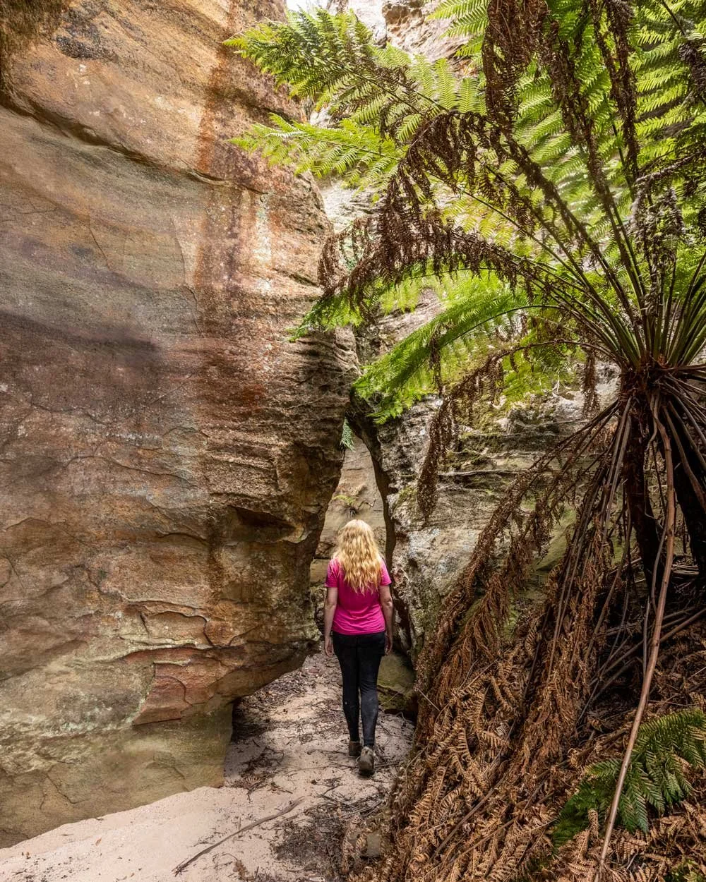 Acoustic Canyon