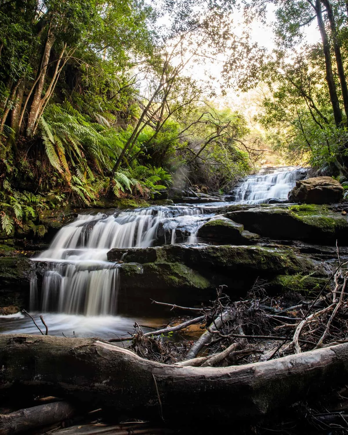 Leura Cascades Walk
