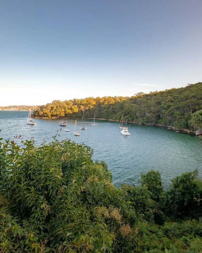 taronga to balmoral walk