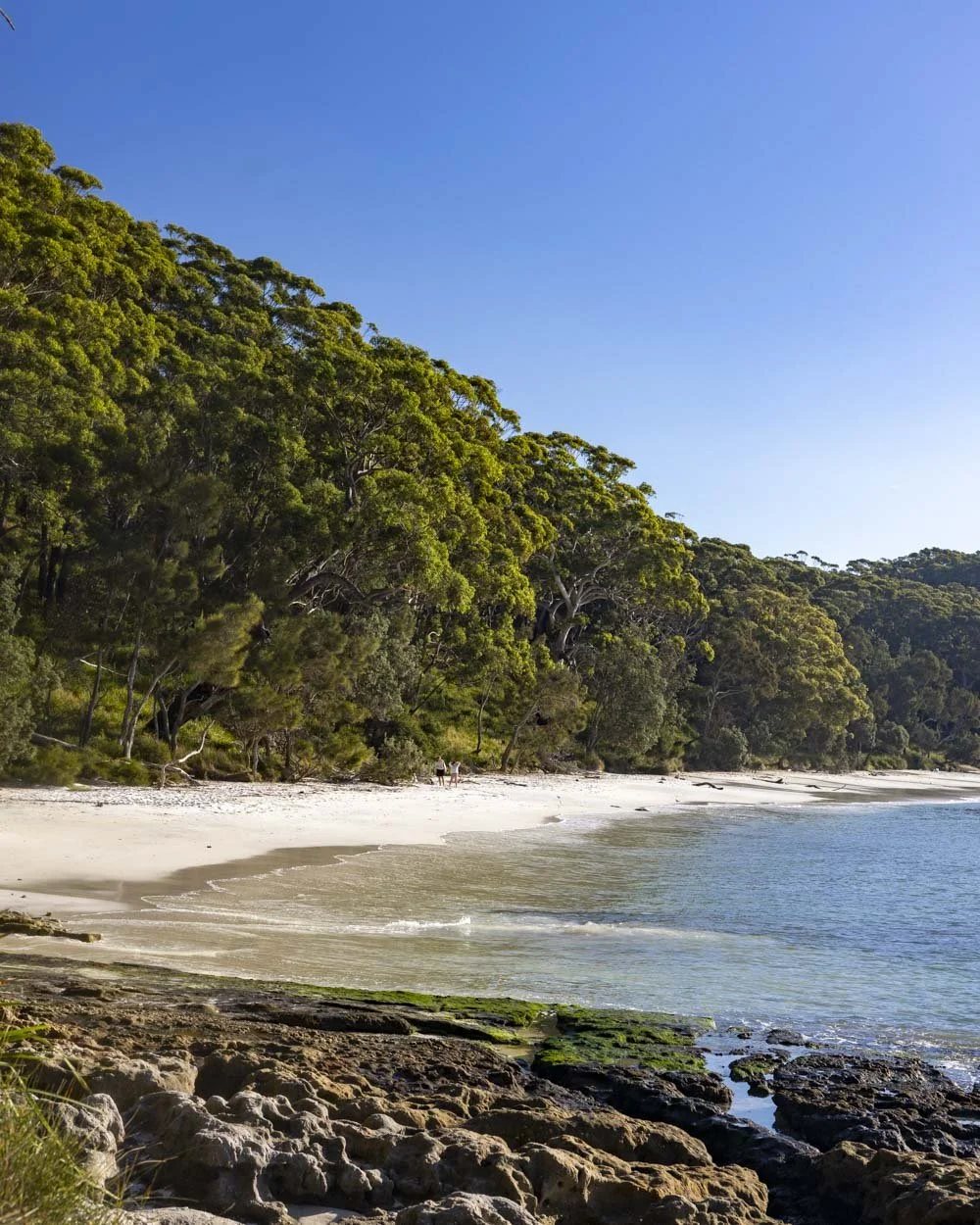 Tips for visiting Murrays Beach including how to find the hidden sea