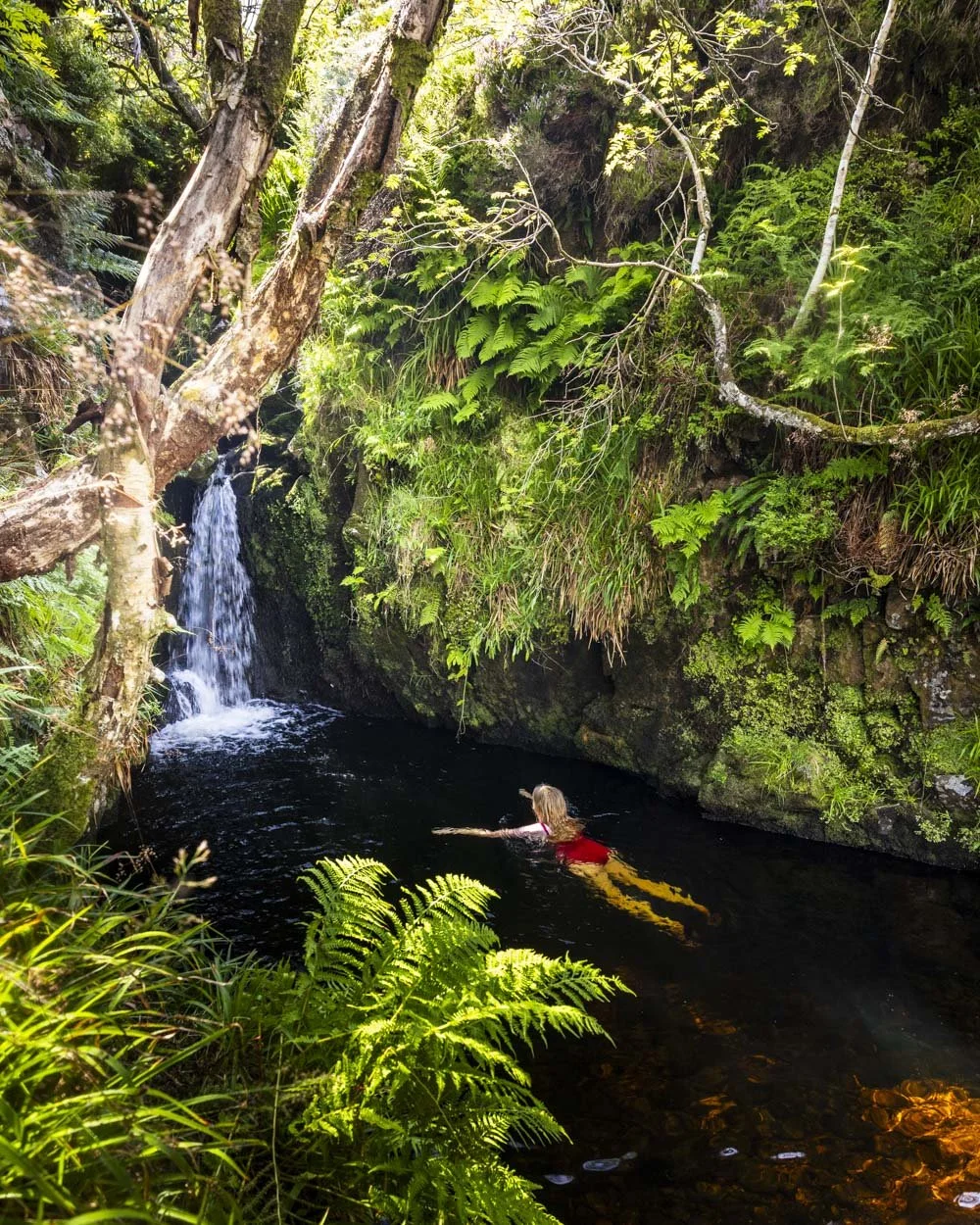 Harthope Linn waterfall