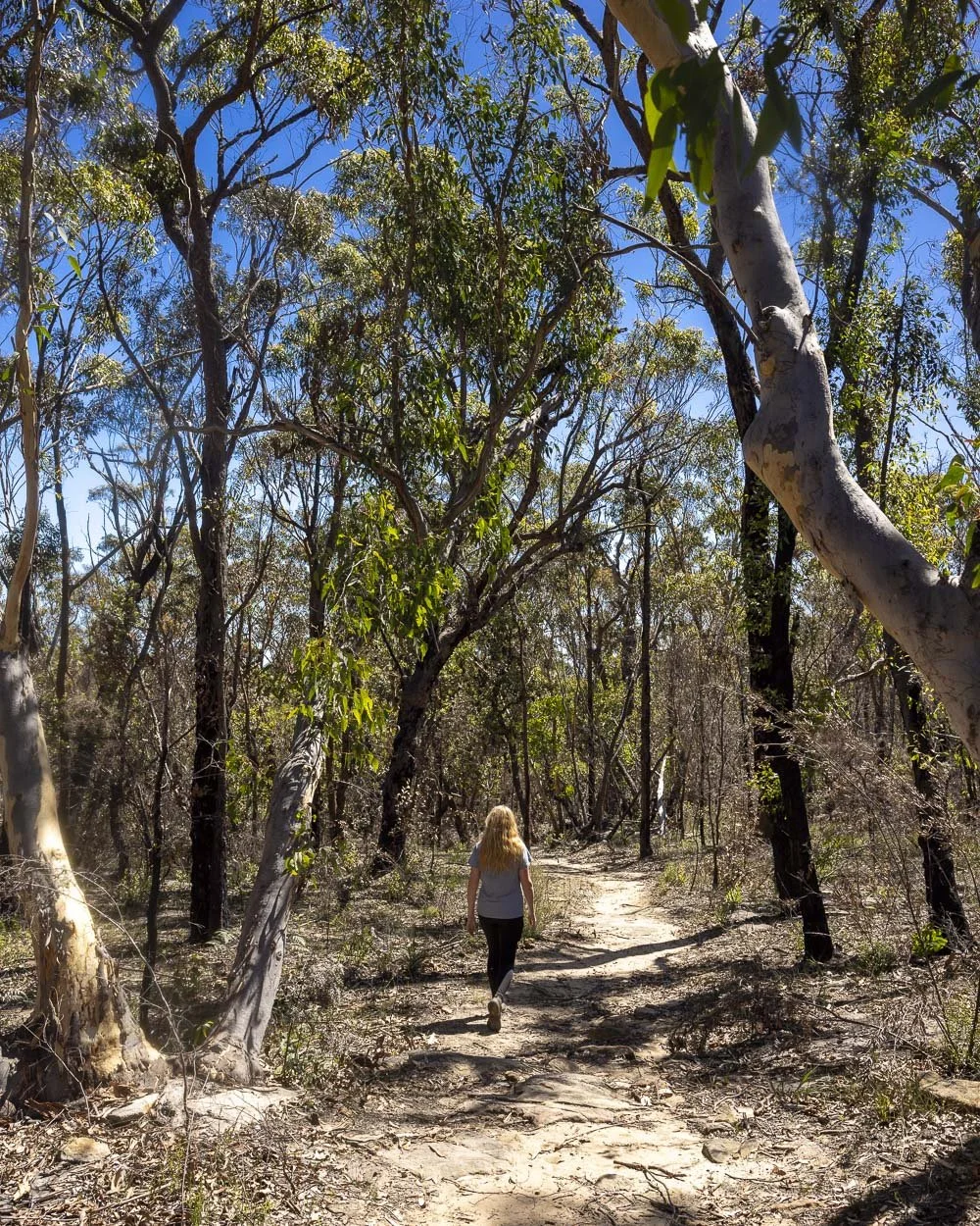 Minerva Pool Wild swimming at Minerva Pool: one of Sydney's best waterholes — Walk ...
