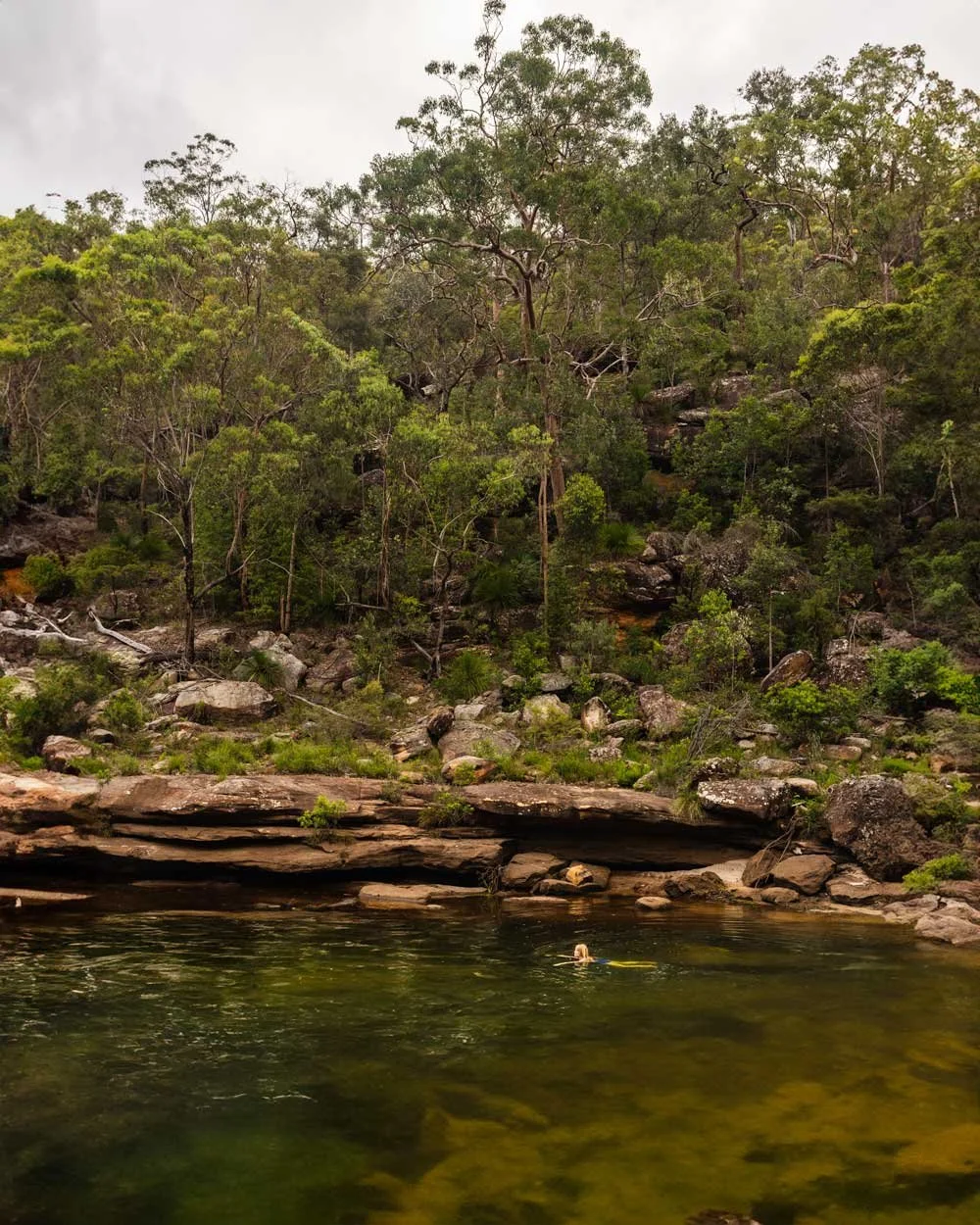 Glebrook Pool Glenbrook Beach and the incredible secret swimming hole beyond — Walk ...