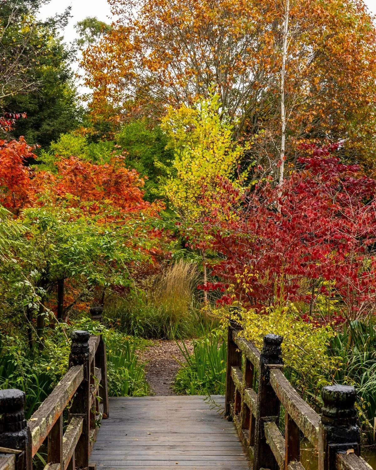 Red Cow Farm - Best things to do in Bowral