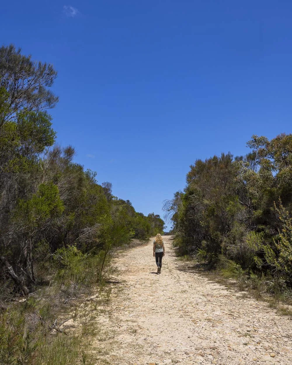 The trail to south west arm pool and winifred falls