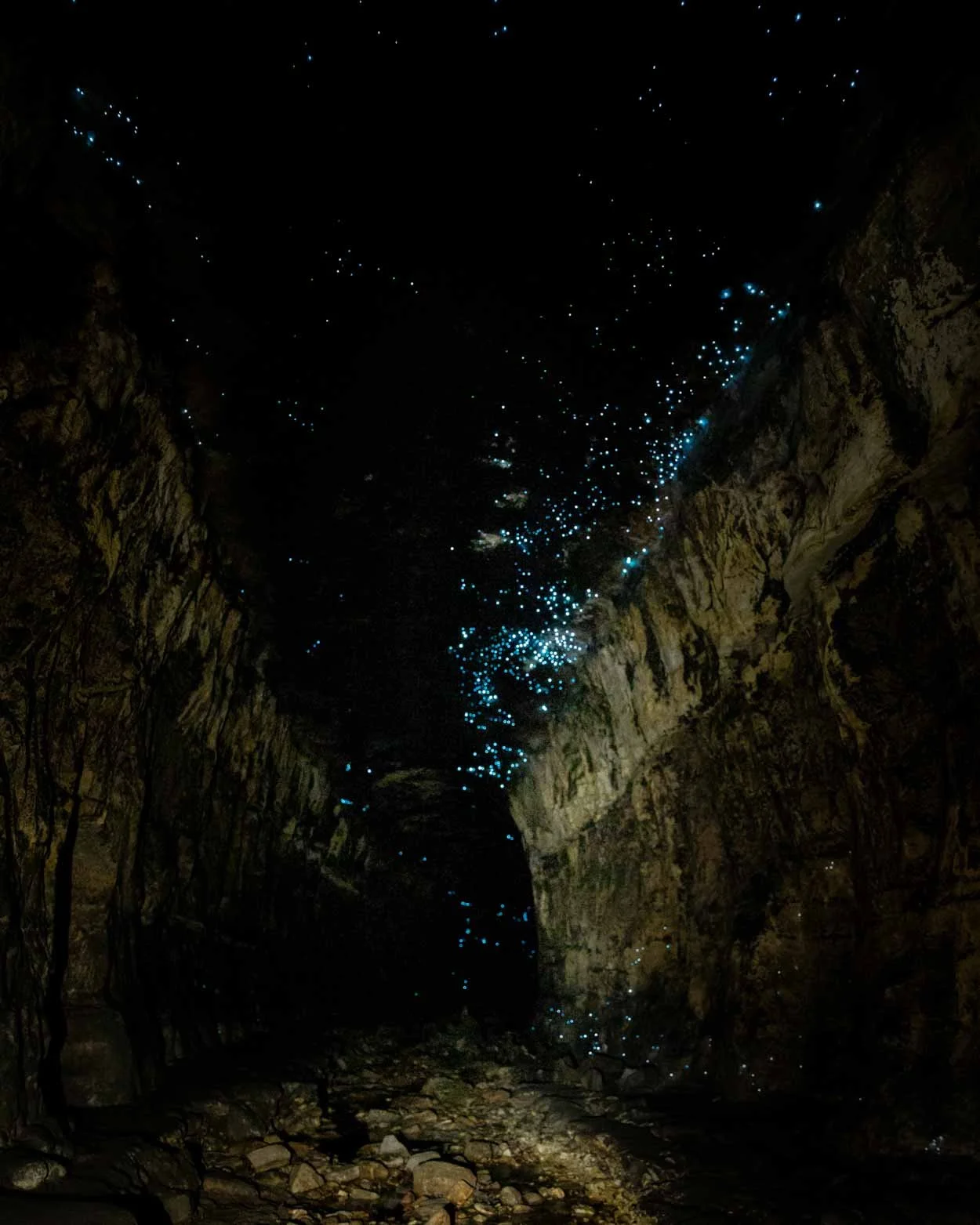 Glow Worm Tunnel Walk