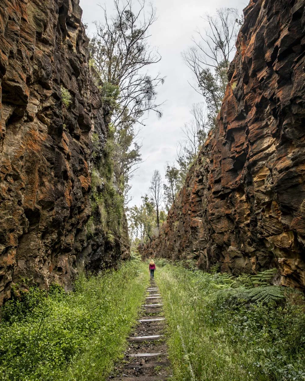 Big Hill Cutting