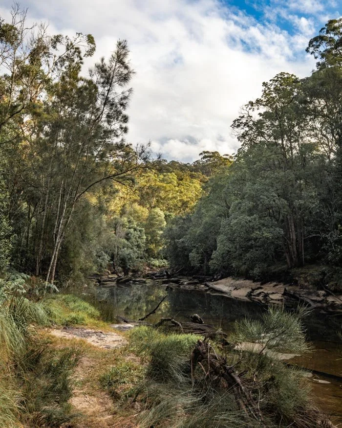 Best Sydney Bush Walks - Stepping Stones to Cascades