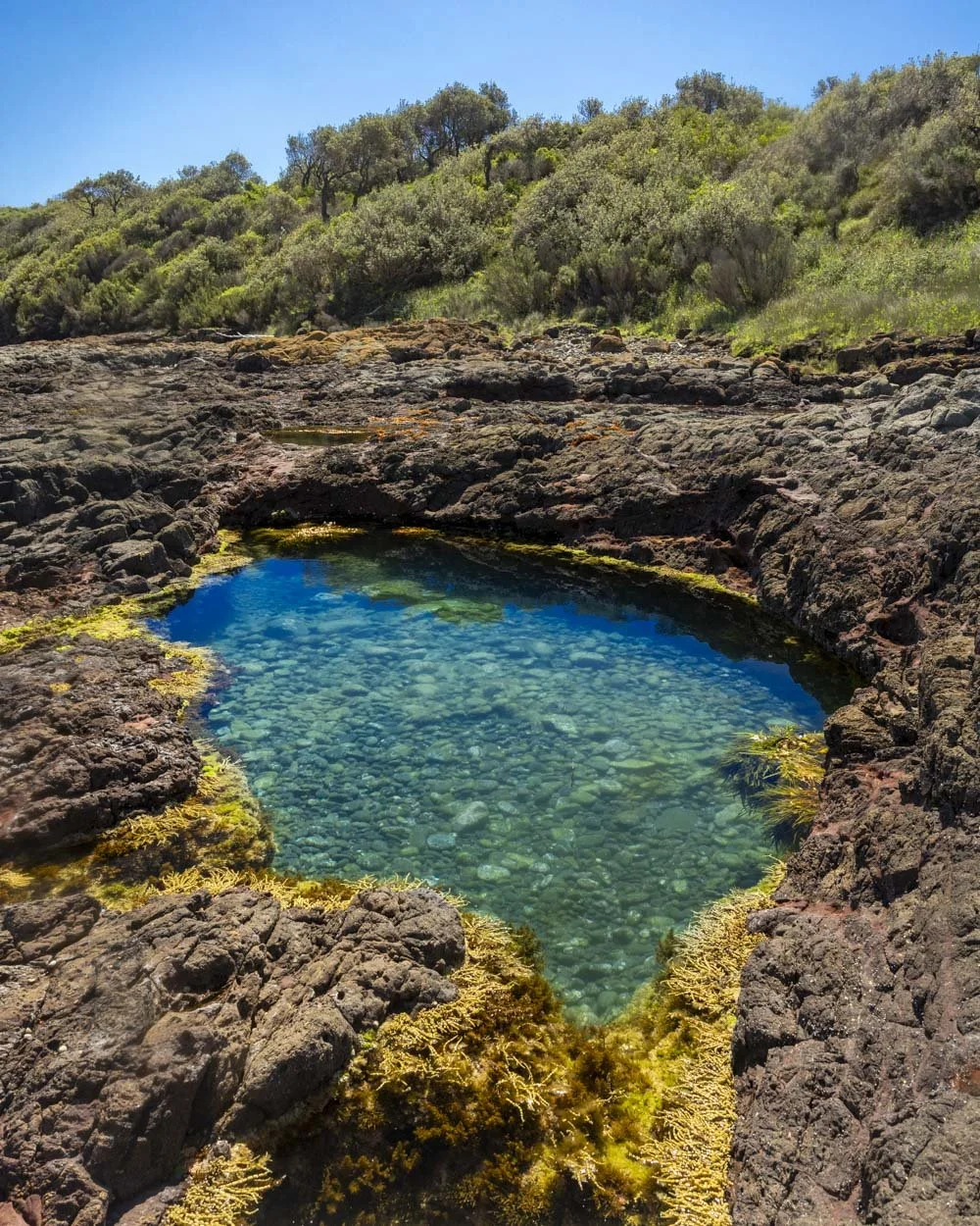 How to find Shellharbour's secret rockpools at Maloneys Bay — Walk My World