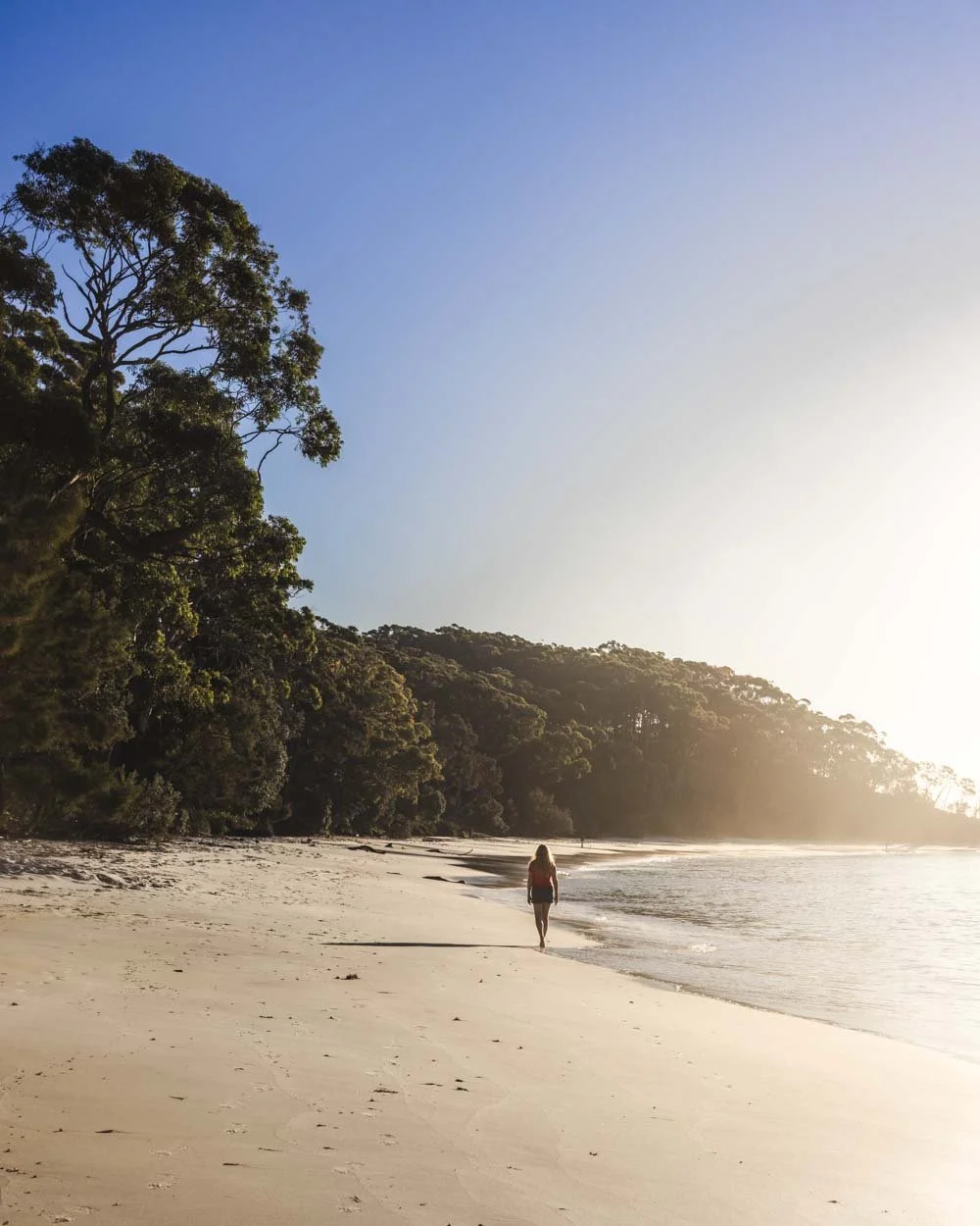 murrays beach
