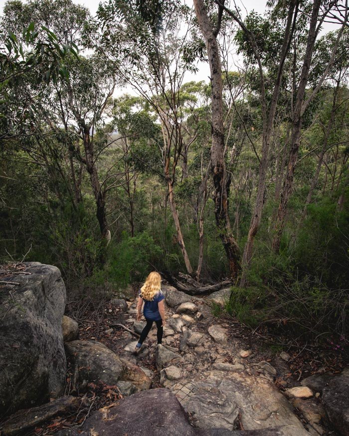 The Jerusalem Bay Track