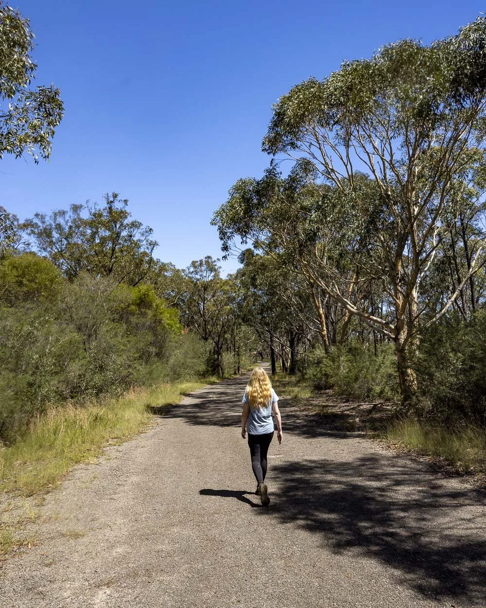 Minerva Pool Wild swimming at Minerva Pool: one of Sydney's best waterholes — Walk ...