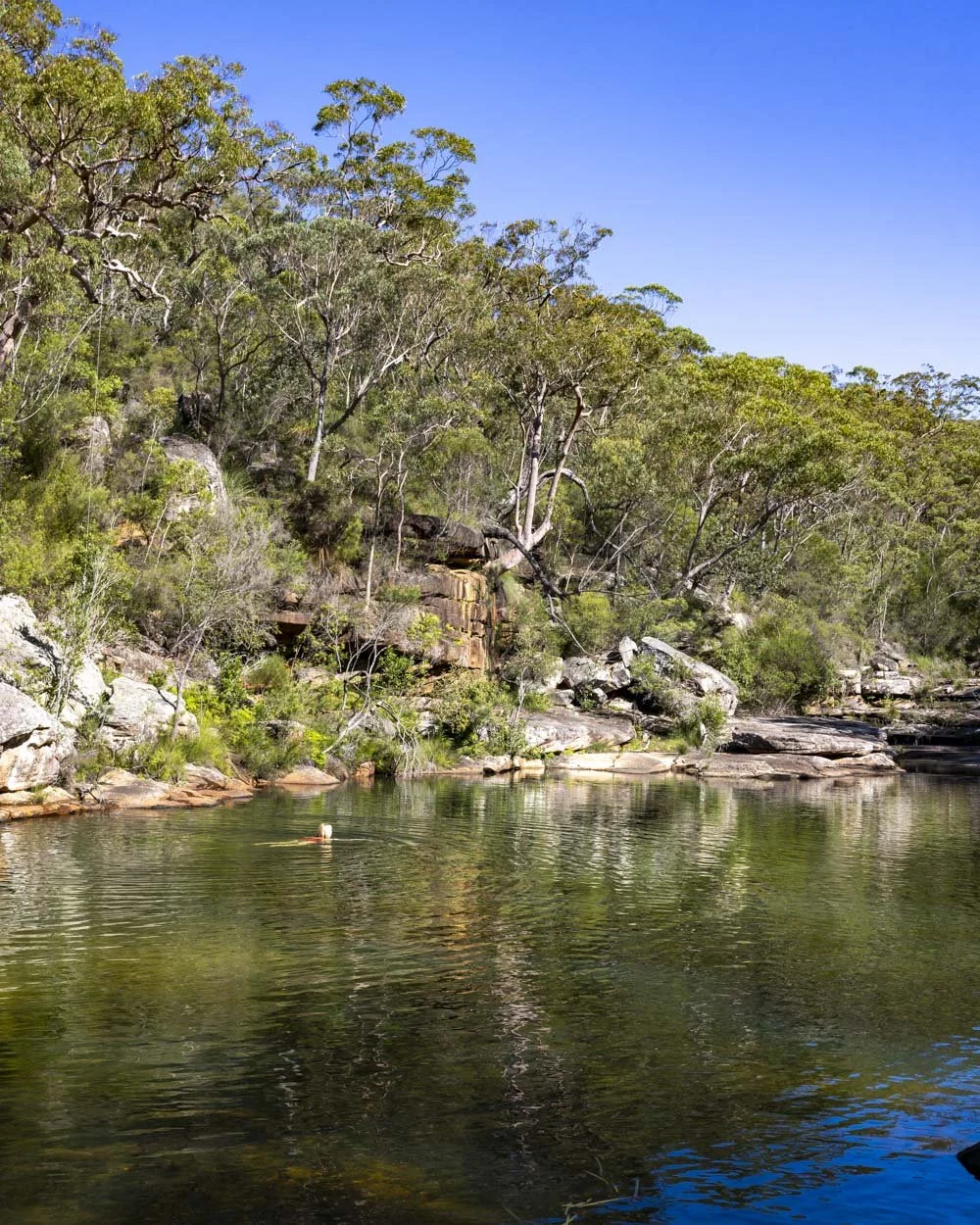 Karloo Pool - Best Walks in Royal National Park