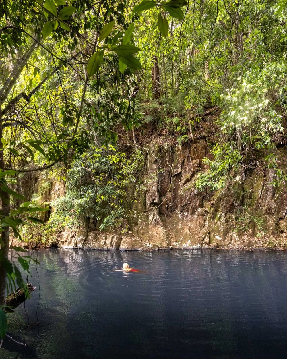 Swans Crossing swimming hole