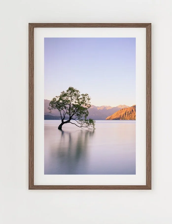 Frames-Wanaka.jpg