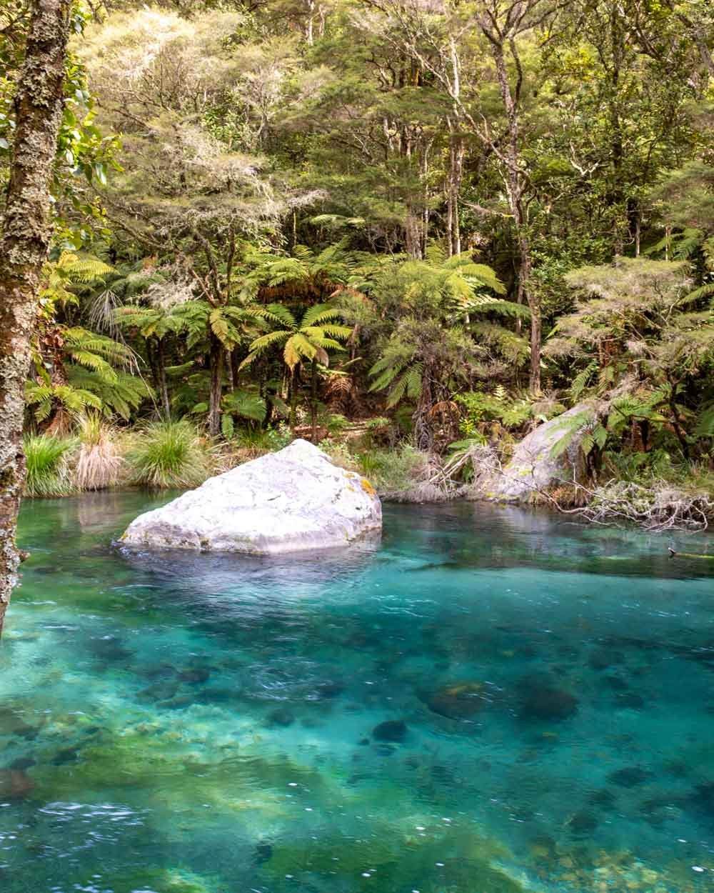 The secret swimming spot at Tarawera Falls