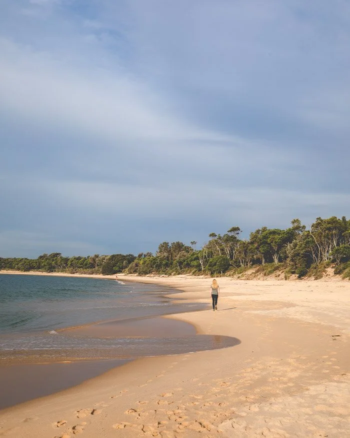 Jibbon Beach - Best easy walks in Royal National Park