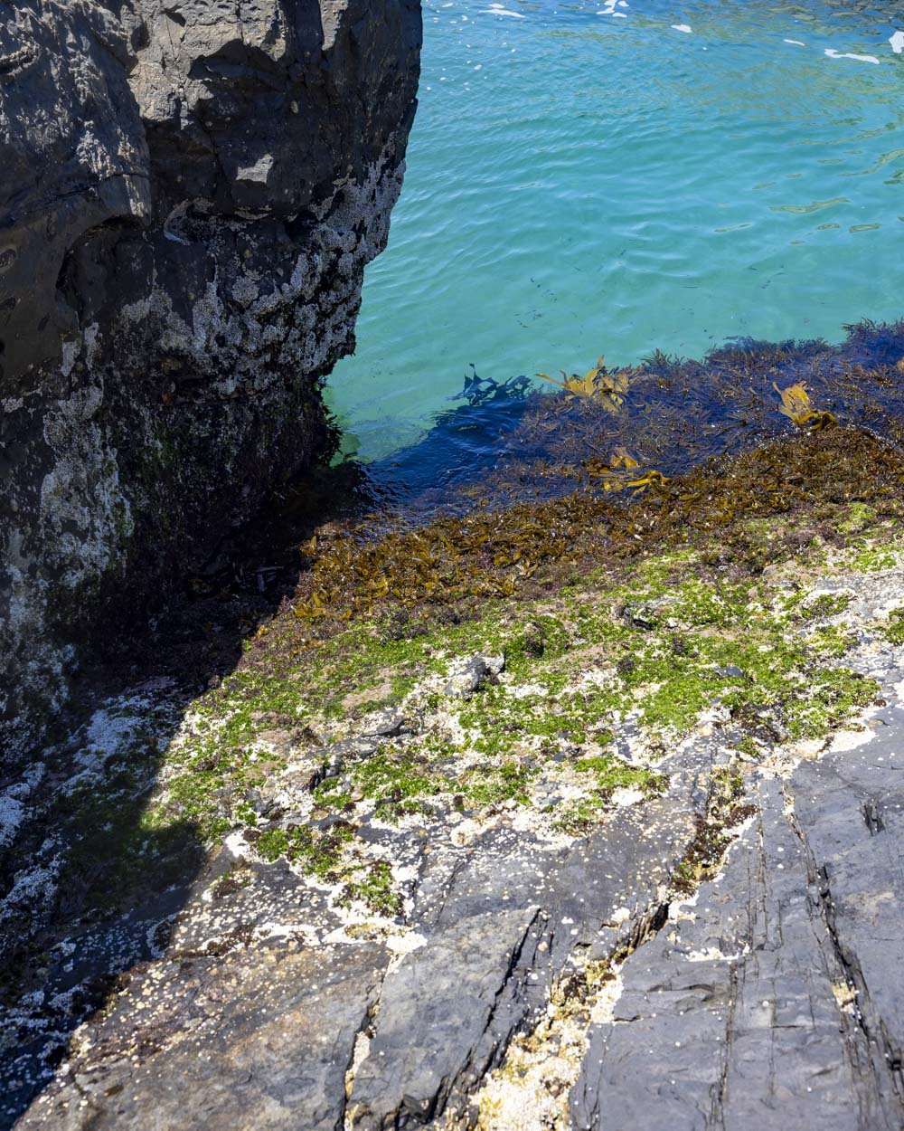 Point Plomer Rockpool