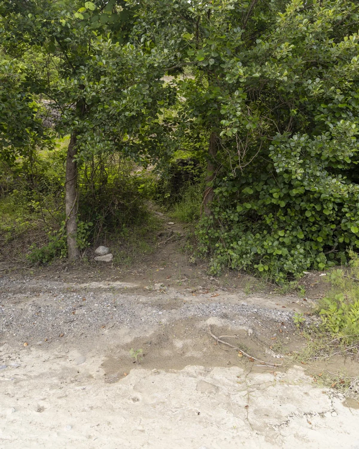 path to Leskovik Hot Springs