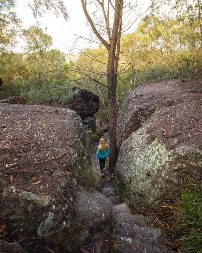 Best Sydney Bush Walks - Stepping Stones to Cascades
