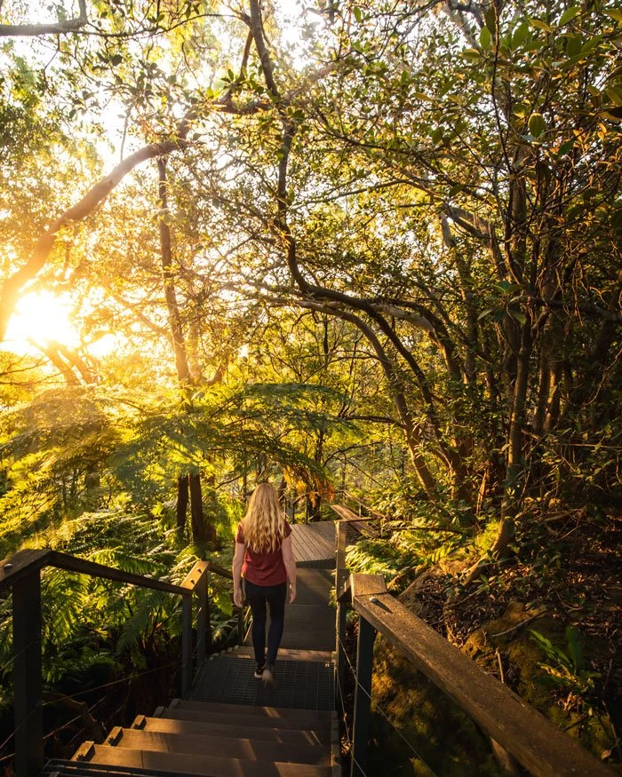 taronga to balmoral walk