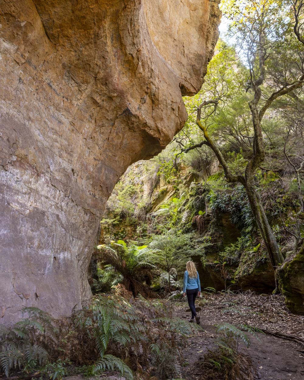 Dry Canyon