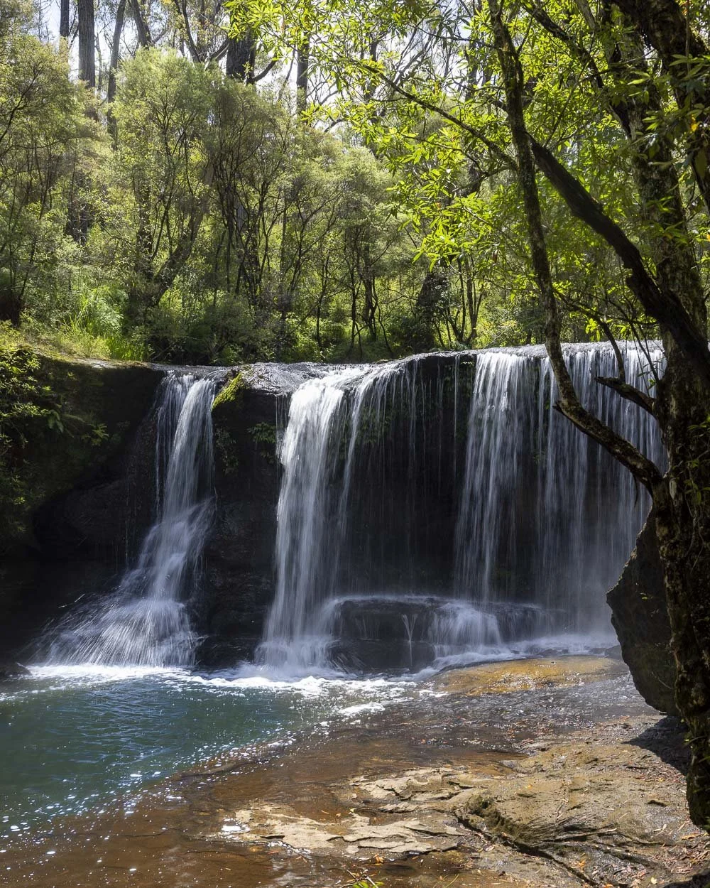 The secret swimming spot at Belmore Falls