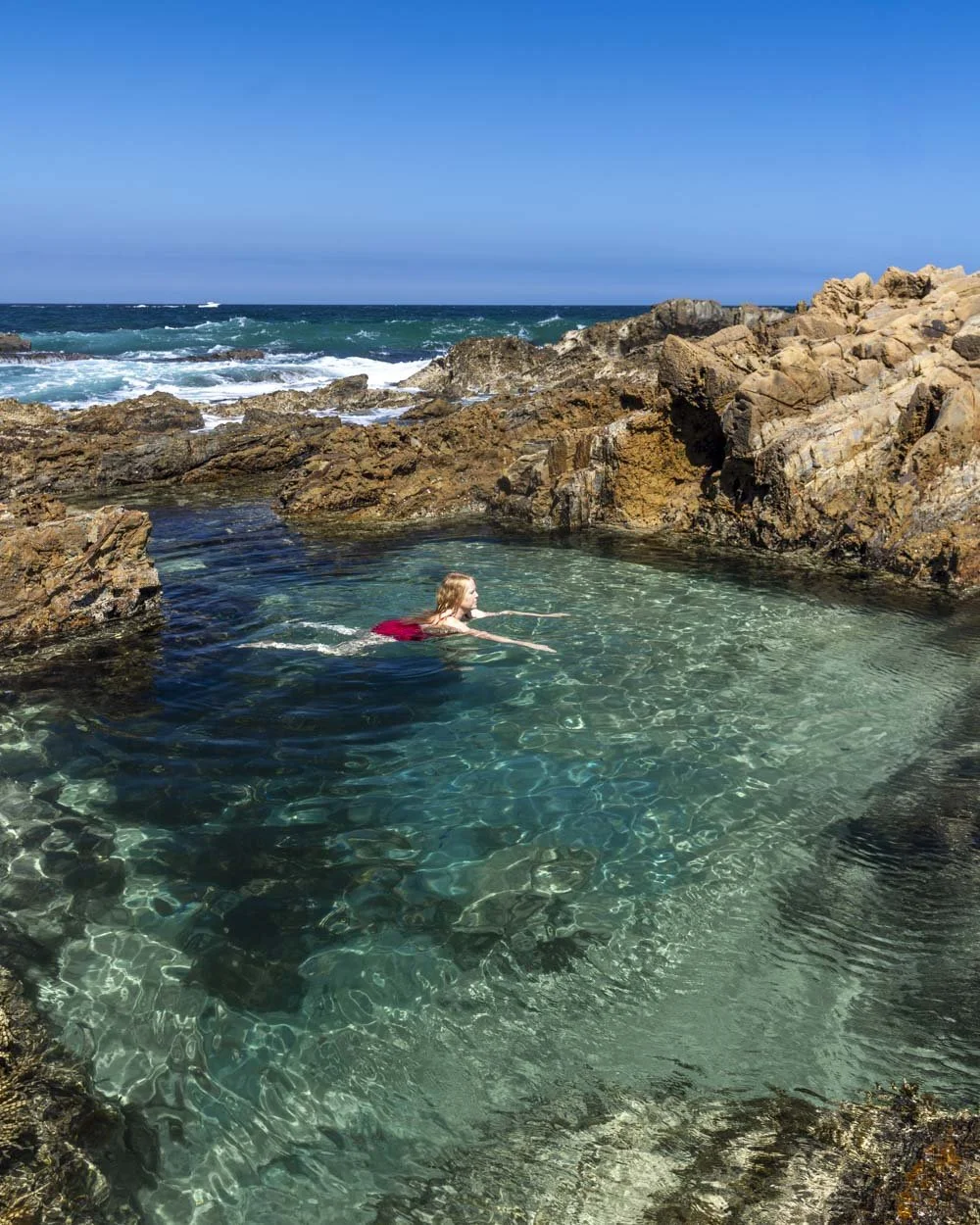 Pooles Beach rockpool