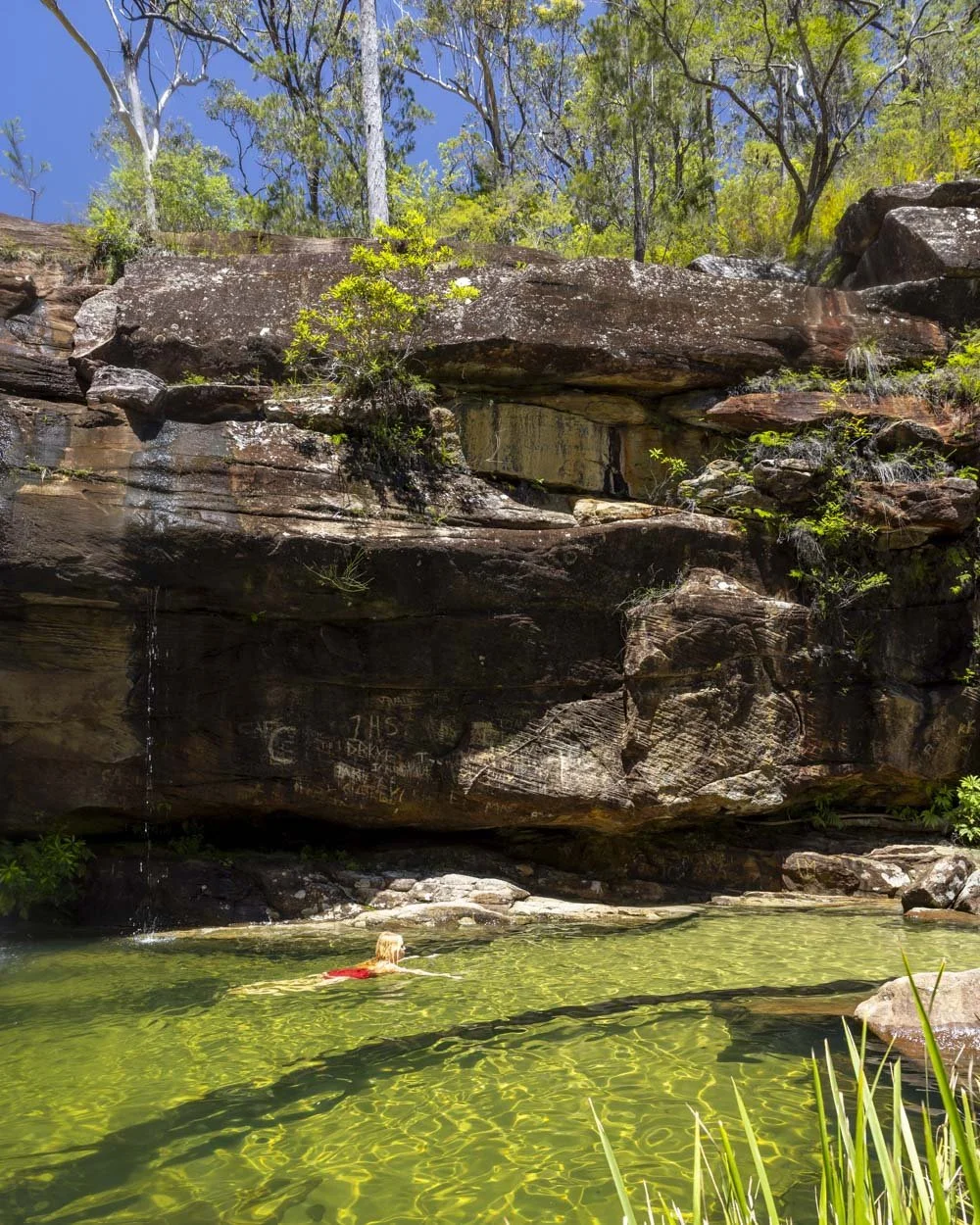 Swimming at Scouts Falls