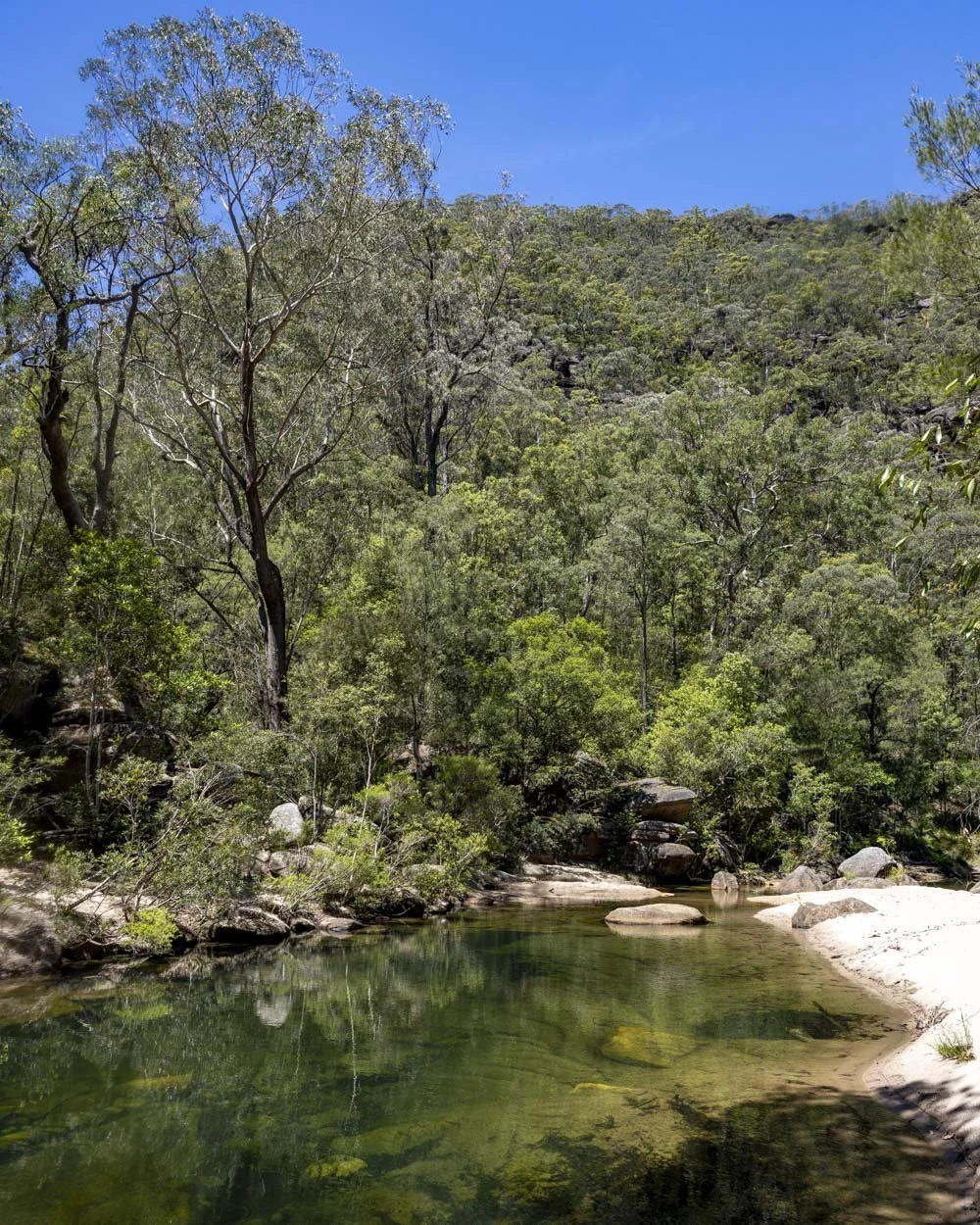 Pool on Glenbrook Creek