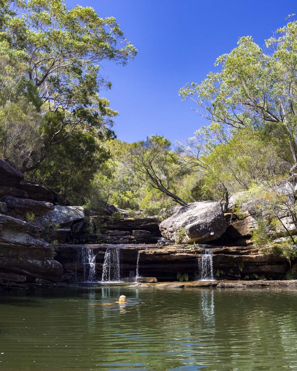 kingfisher pool