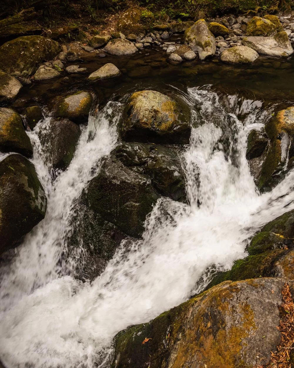 Skip Los Quetzales National Park unless you enter through the backdoor ...