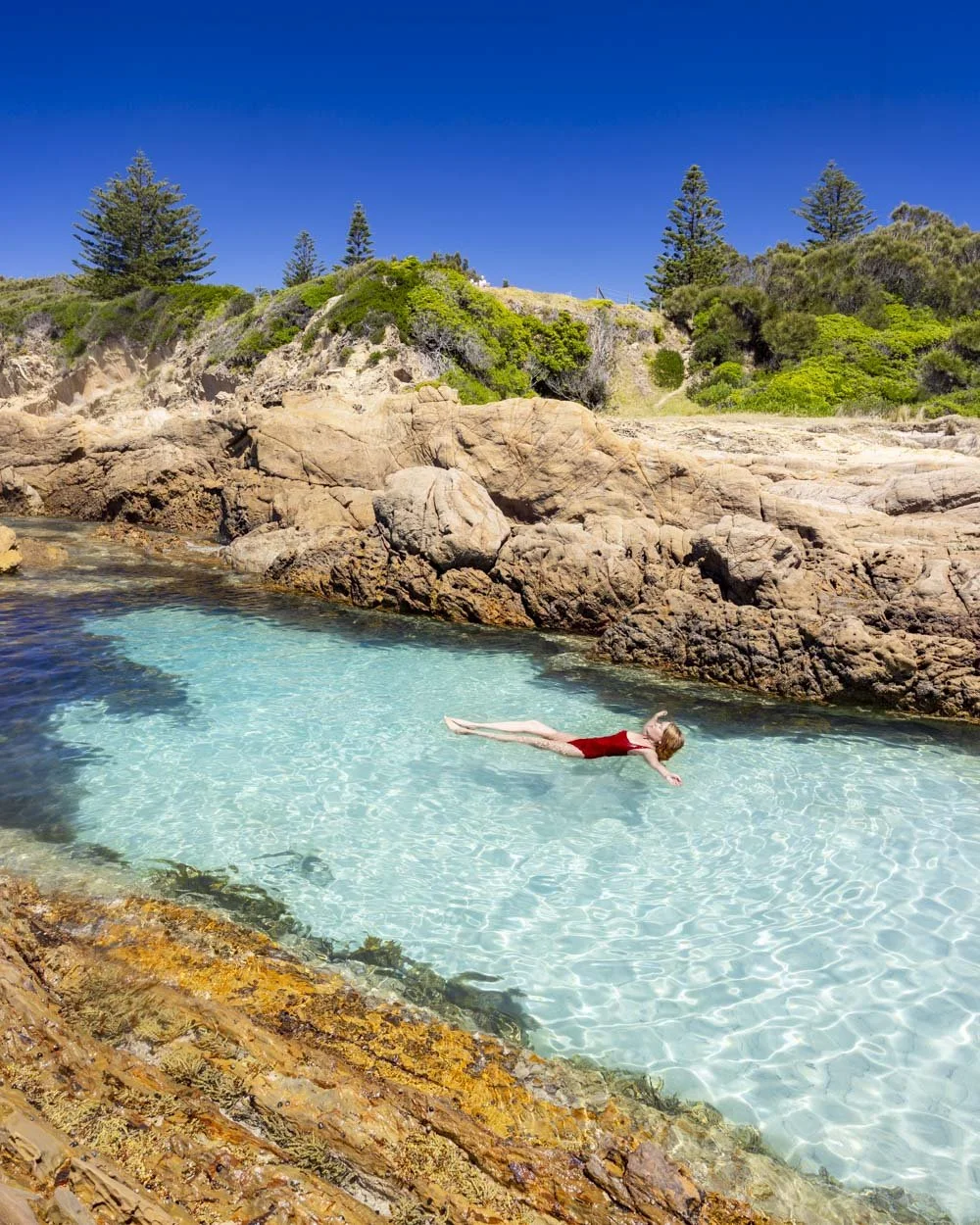 Mossy Point Mermaid Pool