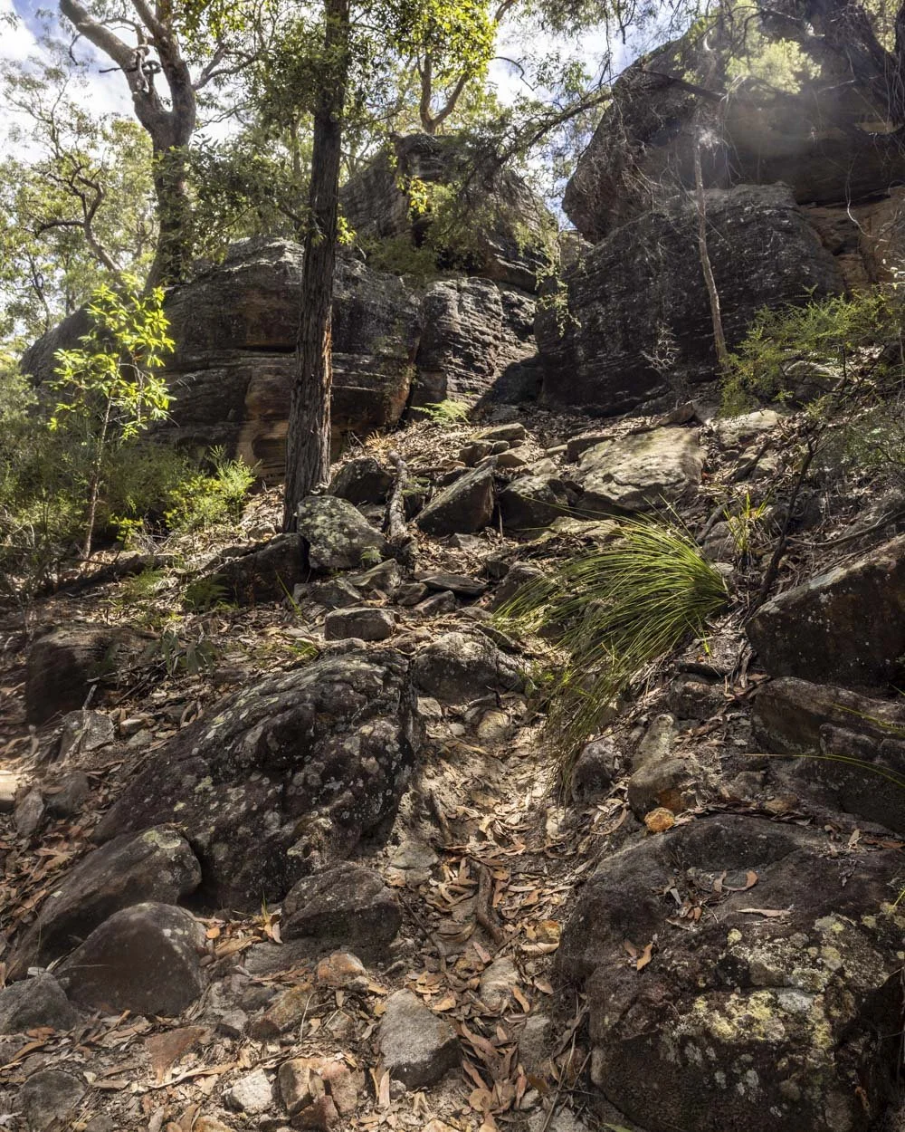 The rock chute