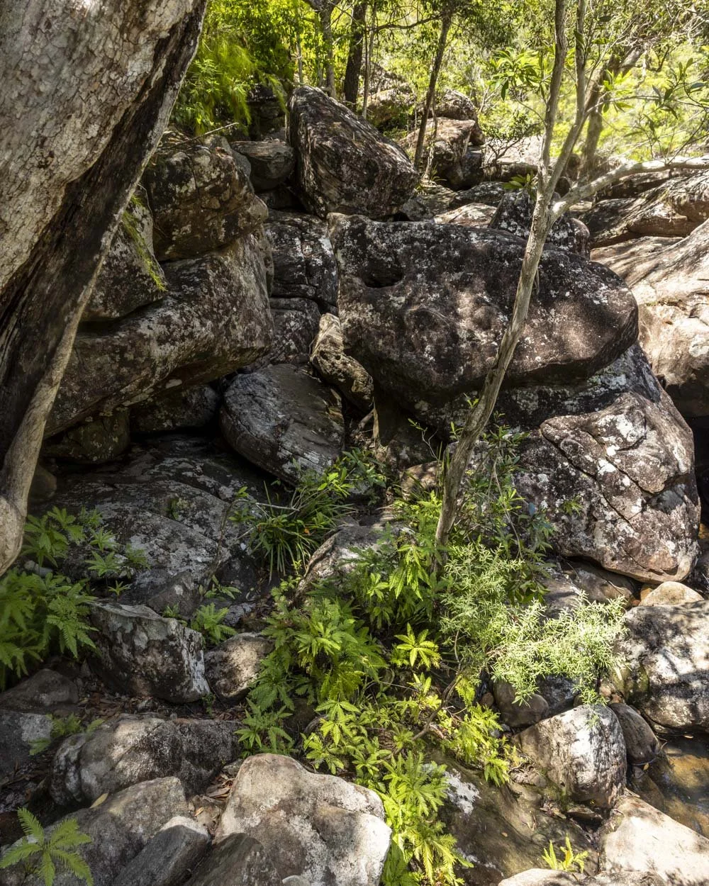 Rock scramble Scouts Falls