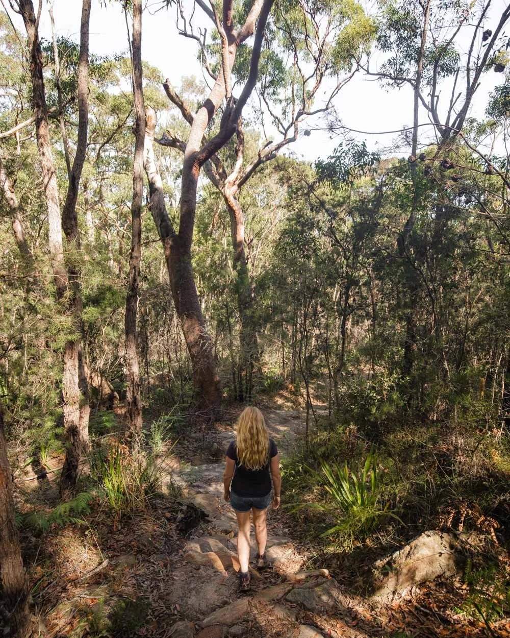karloo track
