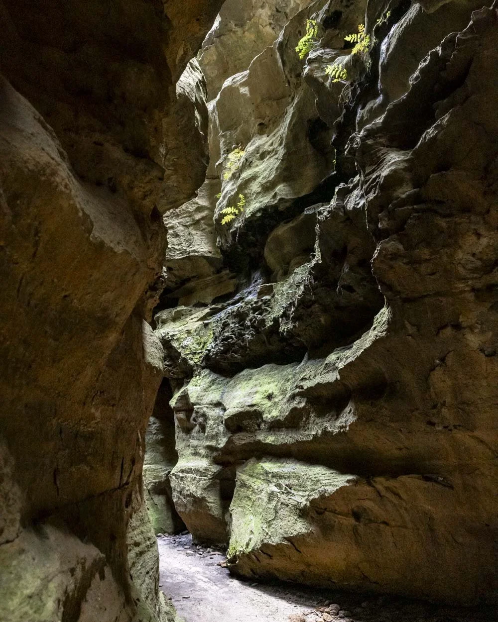 Dry Canyon