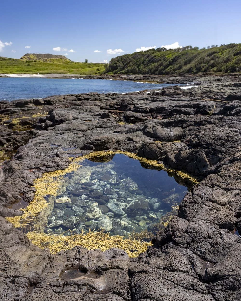 How to find Shellharbour's secret rockpools at Maloneys Bay — Walk My World