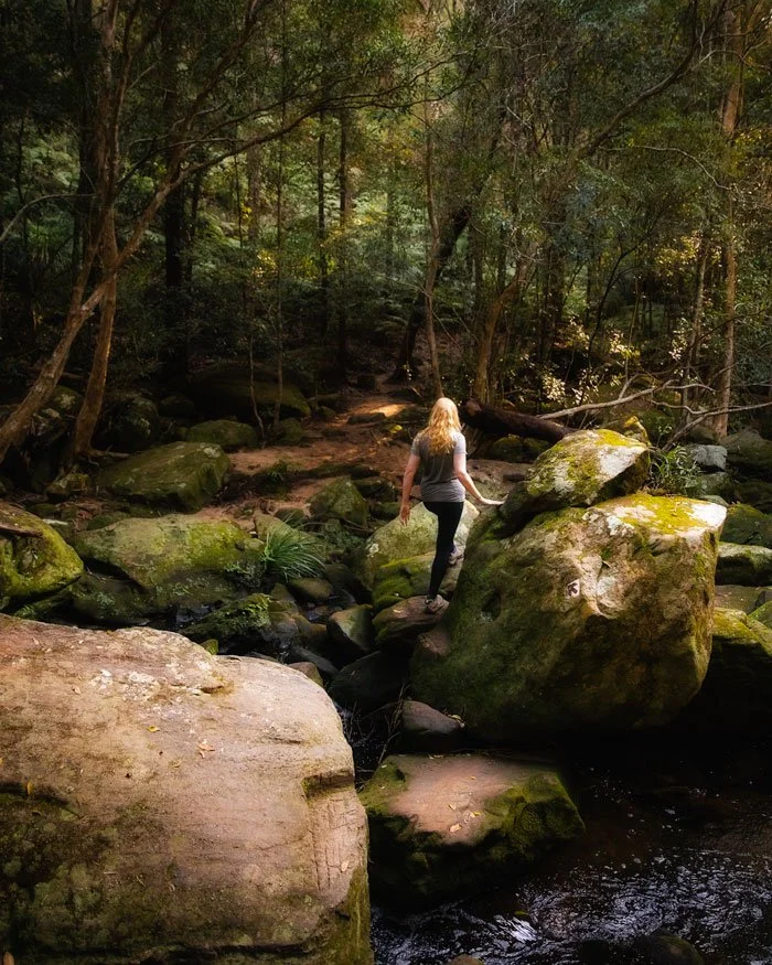 Mt Ku-ring-gai to Berowra walk