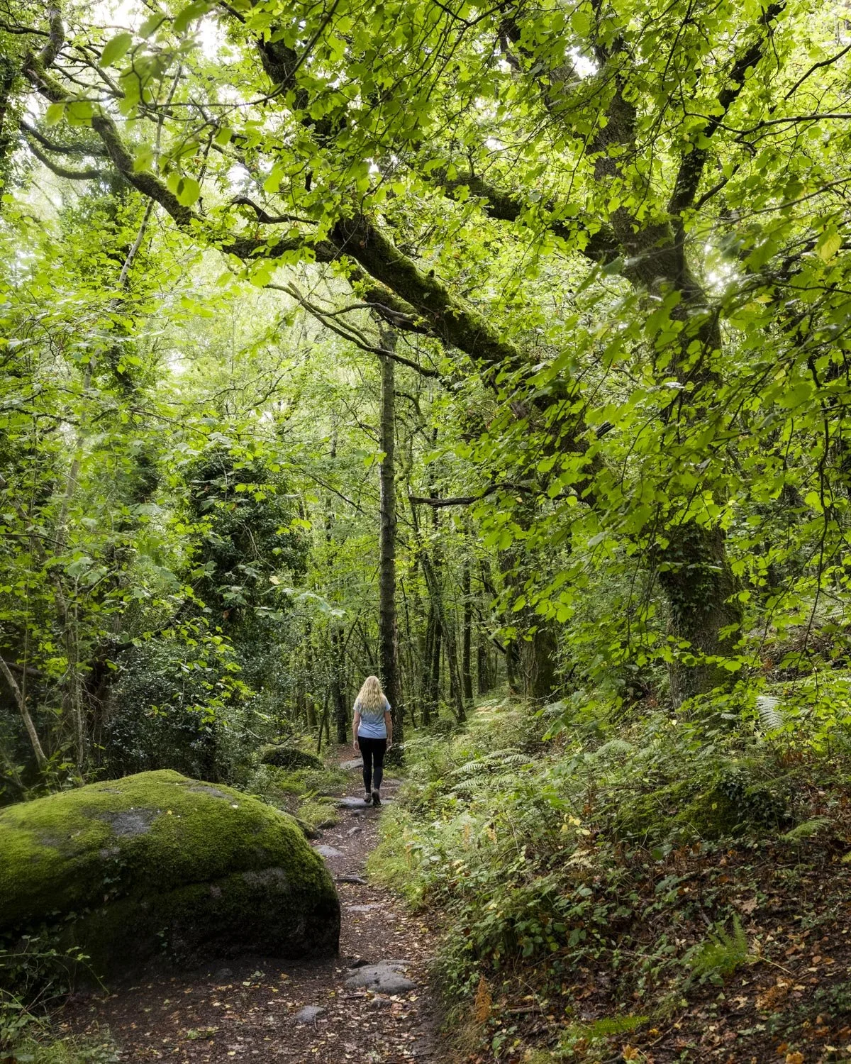 Lustleigh Cleave Circular Walk