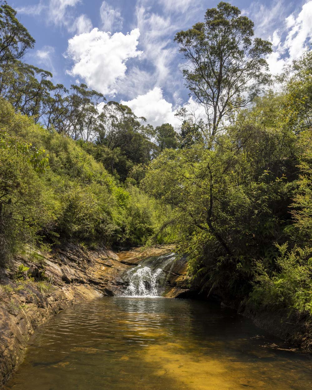 Charles Darwin Walk