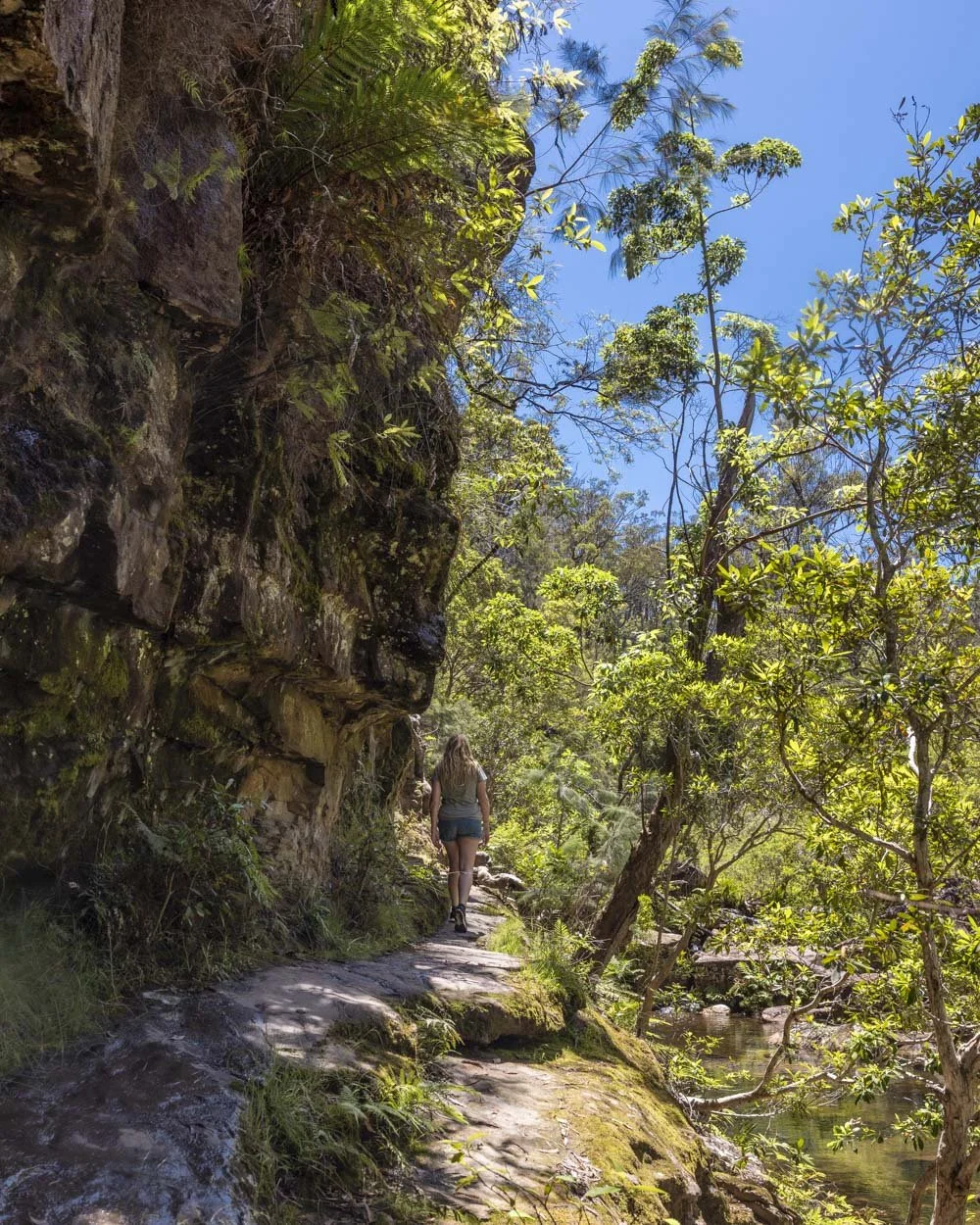 The small ledge on the trail