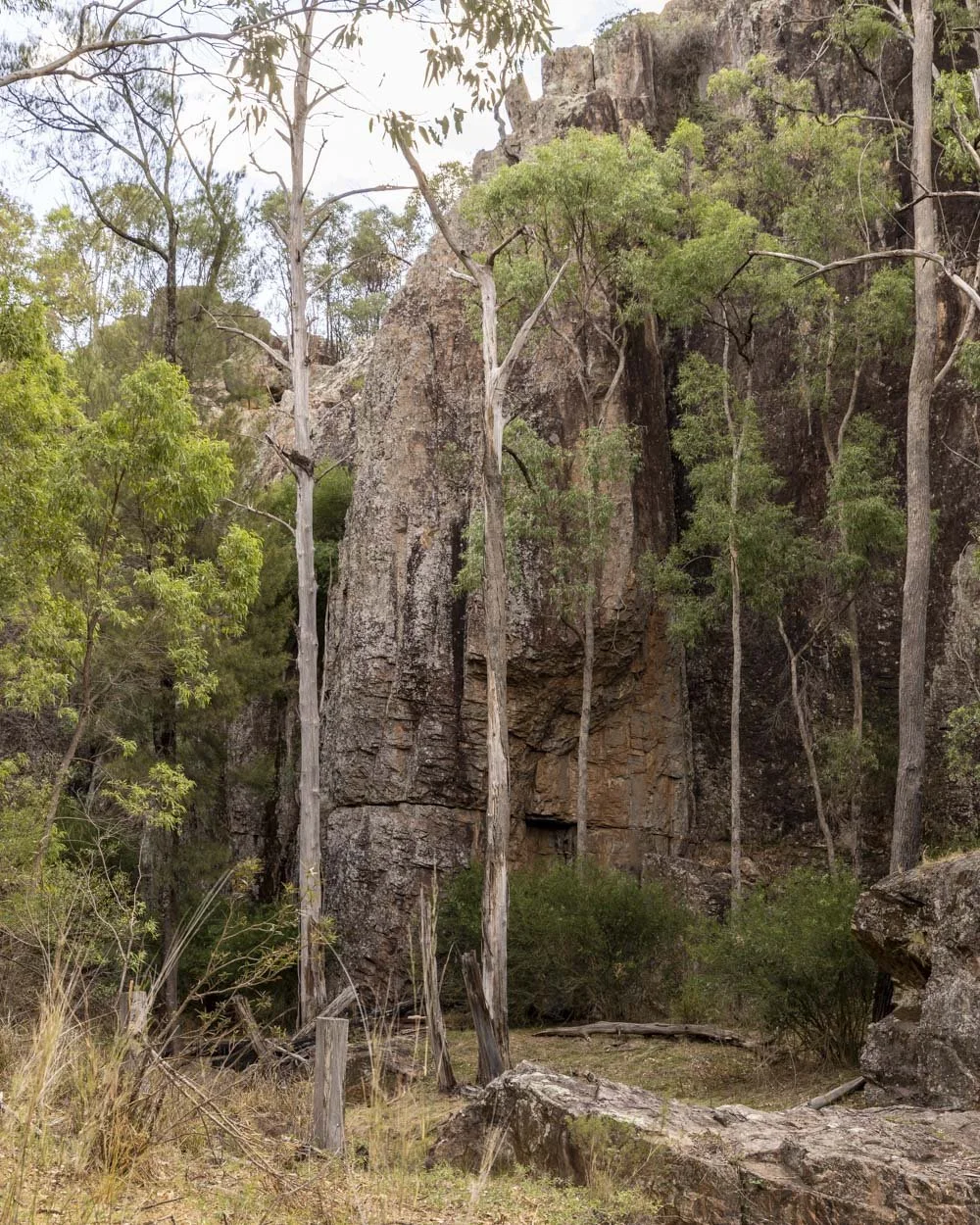 Wambelong nature track gorge