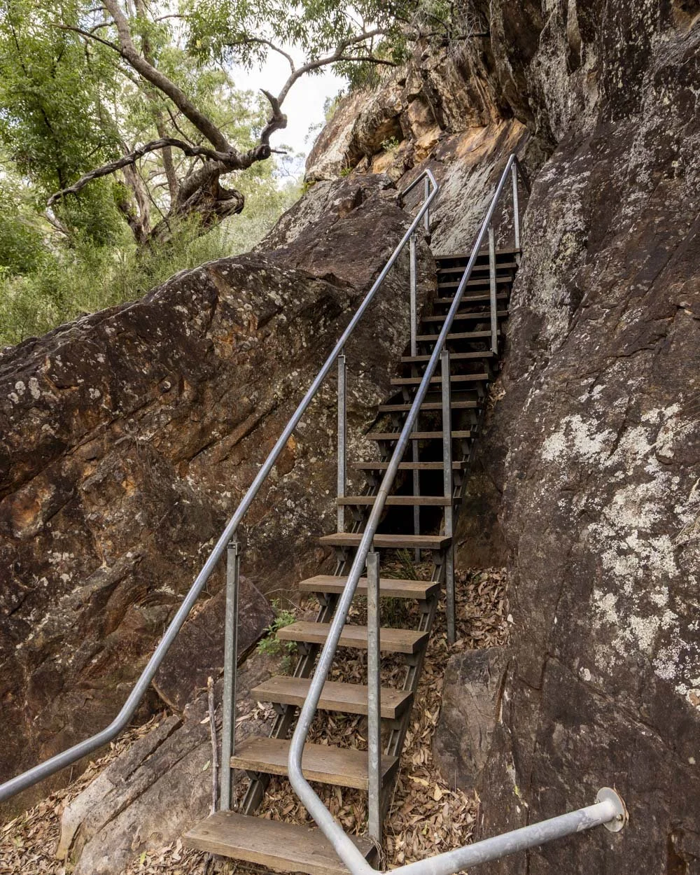 Wambelong nature track