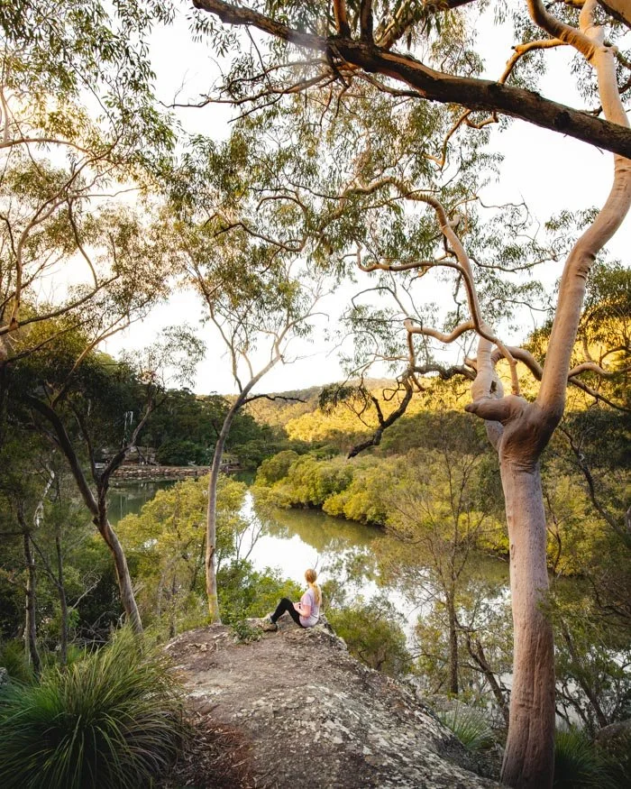 The viewpoint near the Mangrove boardwalk - Bobbin Head