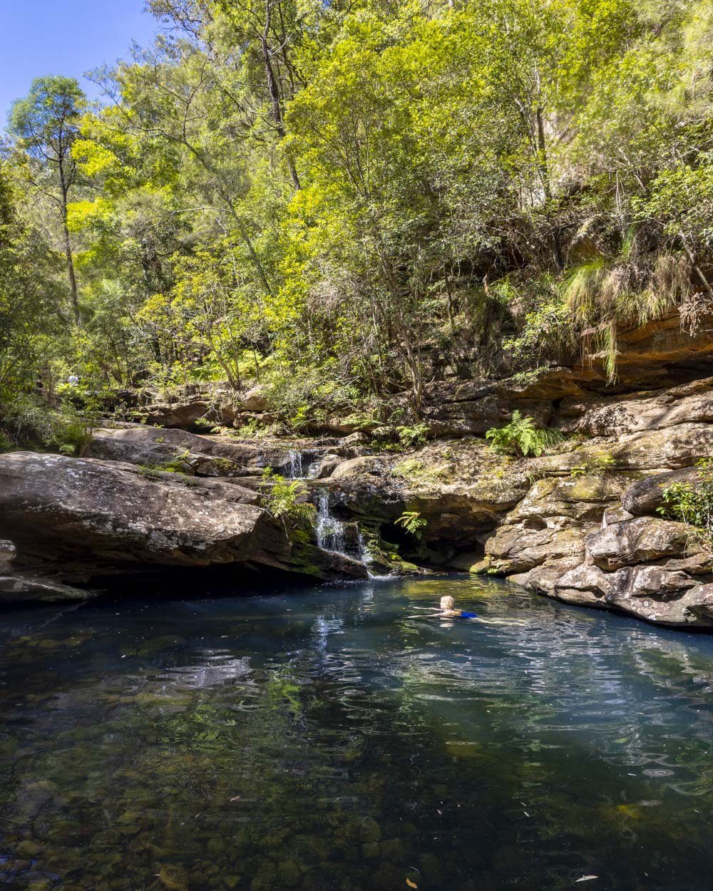 shaws creek pool