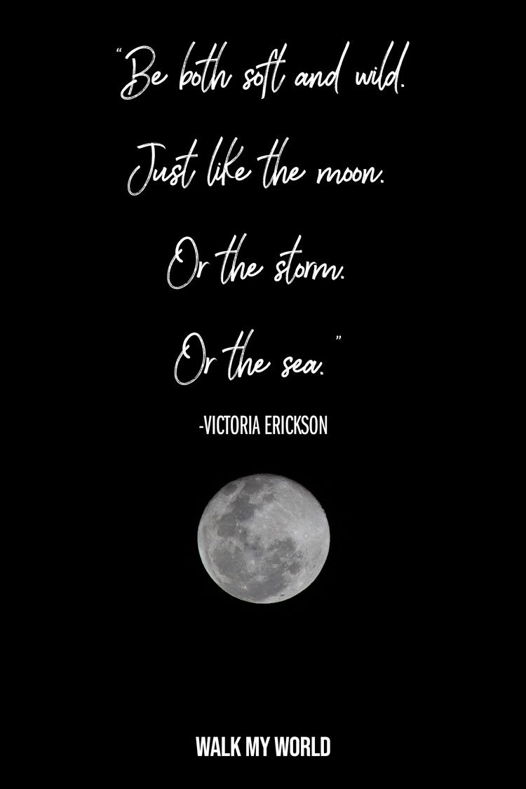 a trip to the moon quotes