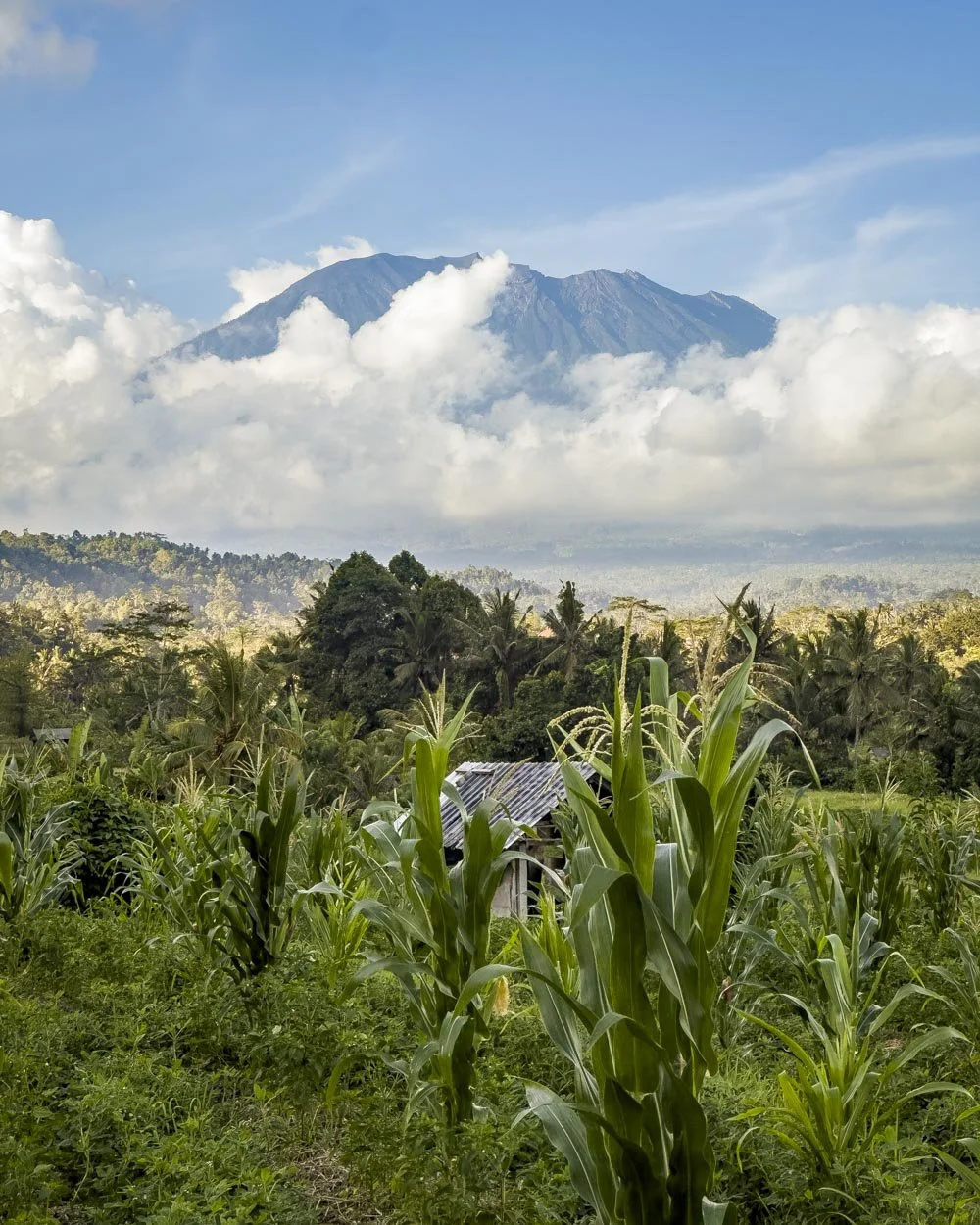 Mount agung